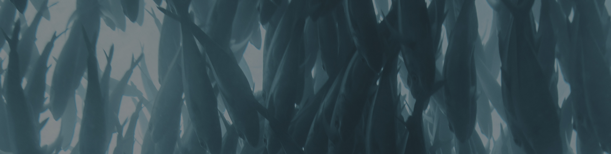 Untitled (21)-1.png