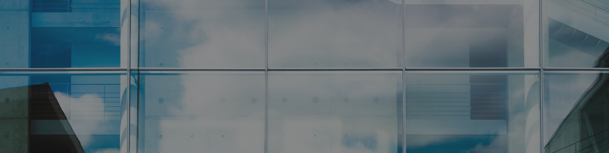 Untitled (21)-1.png