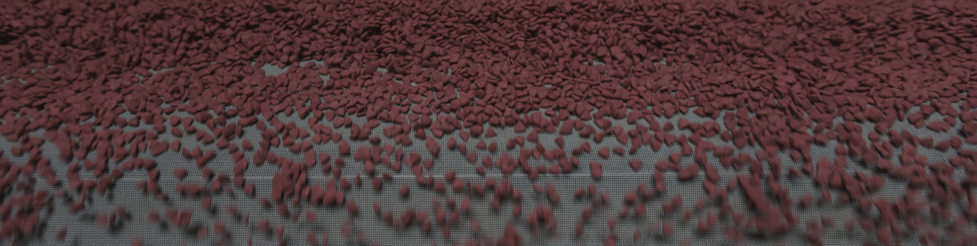 Untitled (21)-1.png